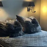 Luxury In *