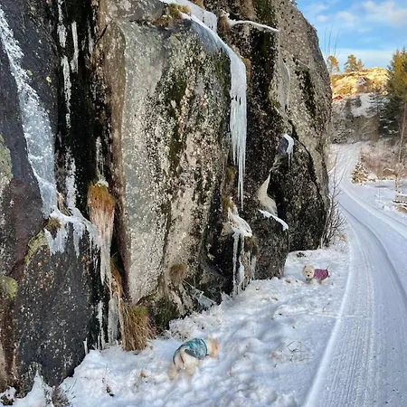 Luxury In Lyngdal